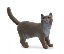 SCHLEICH - CHAT BRITANNIQUE À POIL COURT (BRITISH SHORTHAIR) #13973 *EXCLUSIF À CHICOUTIMI*